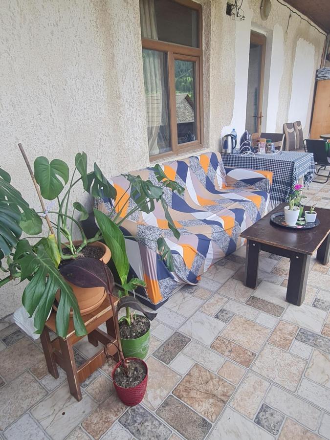 Guest House Goshtela Mestia Zewnętrze zdjęcie